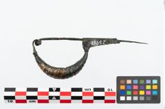 Foto von Bronzekahnfibel (NHMW-PRAE-025967)